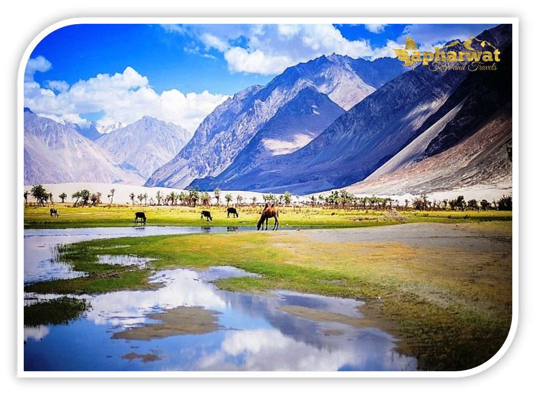 ladakh tourism package